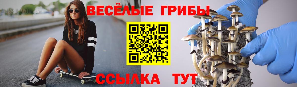Трёхгорный  Галлюциногенные грибы ЛСД  Вход с VPN 